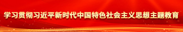 快操我丝足骚逼视频学习贯彻习近平新时代中国特色社会主义思想主题教育